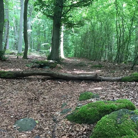 Flat With Terrace In The Westerwald, Cleaning Included