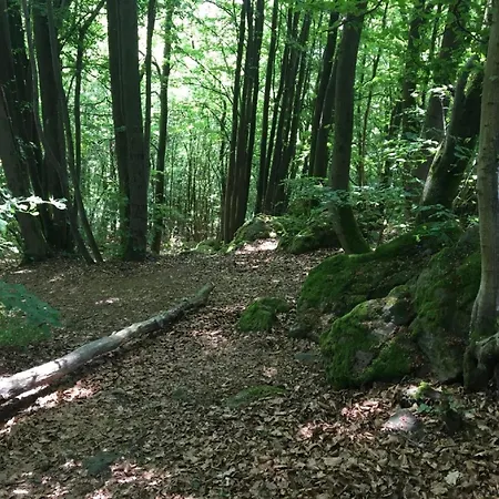 Flat With Terrace In The Westerwald, Cleaning Included
